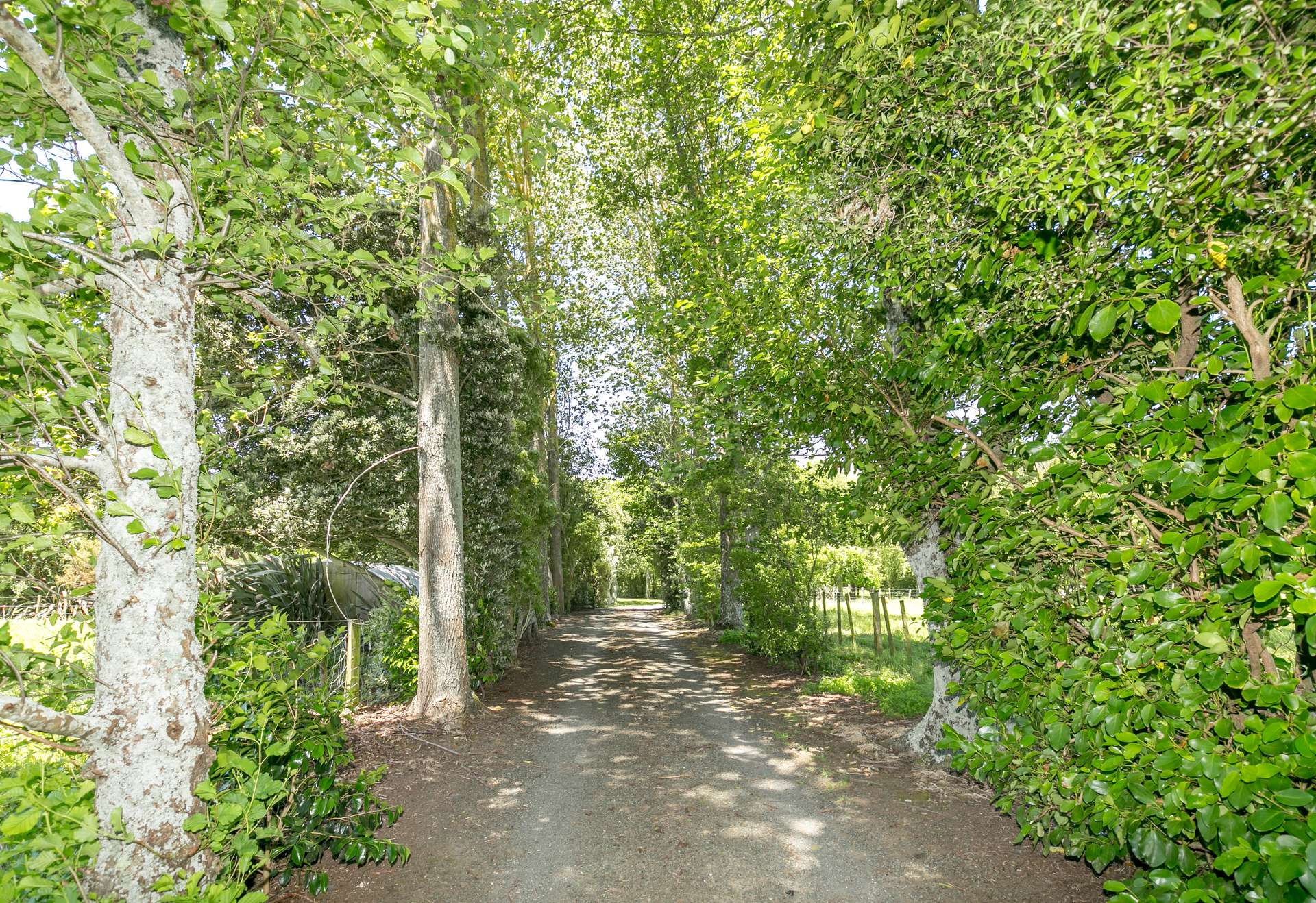 45 Corcoran Road photo 1