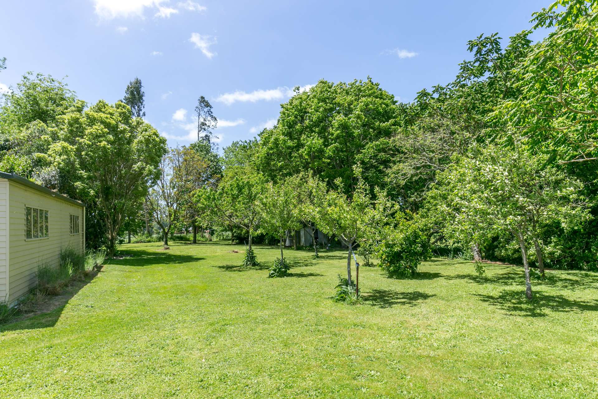 45 Corcoran Road photo 8