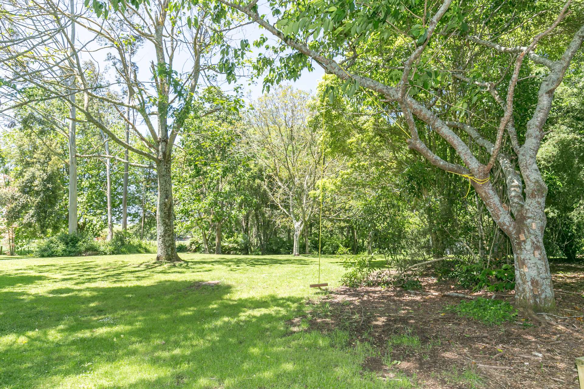45 Corcoran Road photo 2
