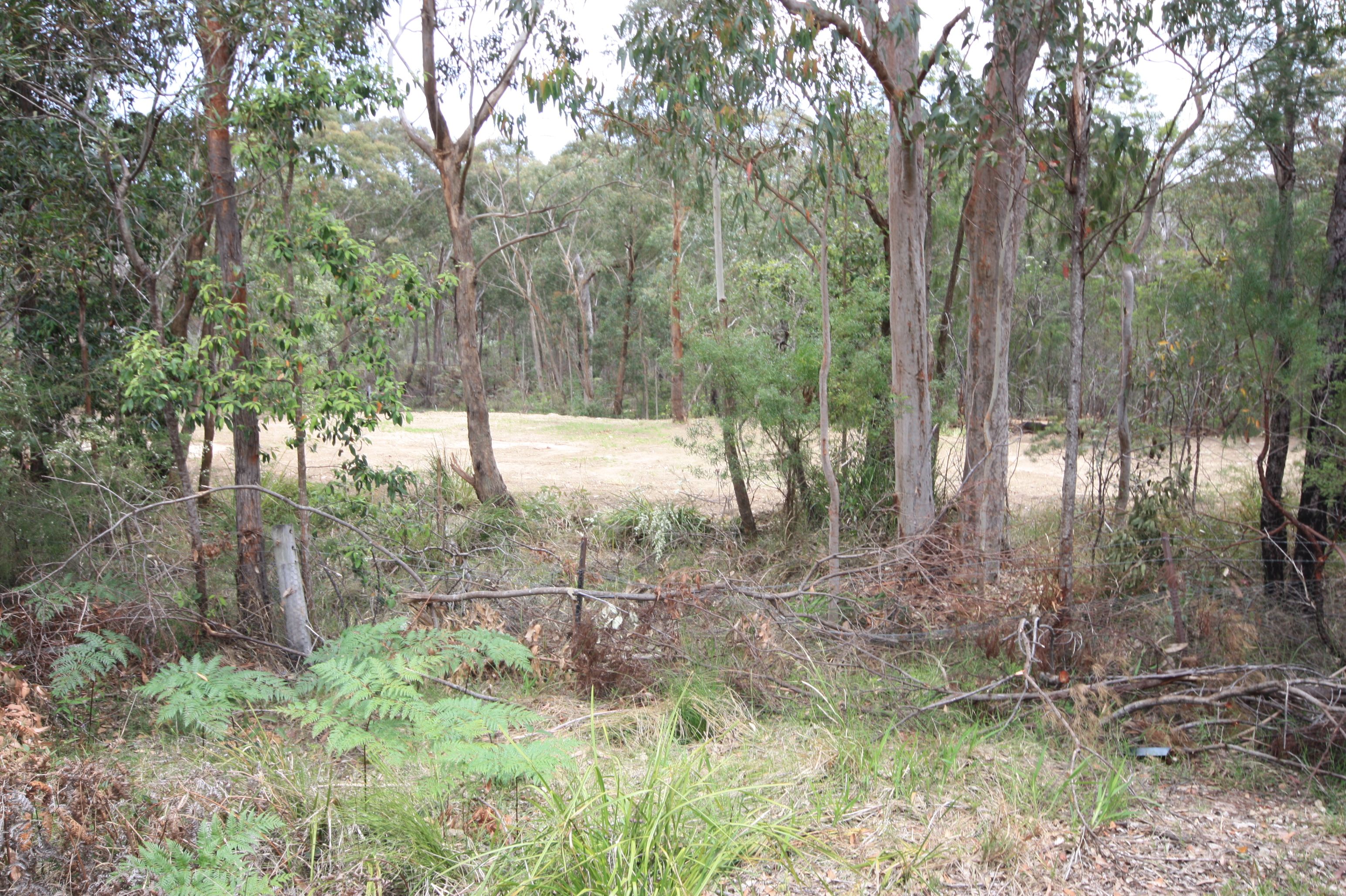 Oakdale, NSW 2570