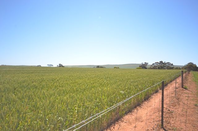 Lots 21-25, 94 Sod Hut Road, Farrell Flat, SA 5416