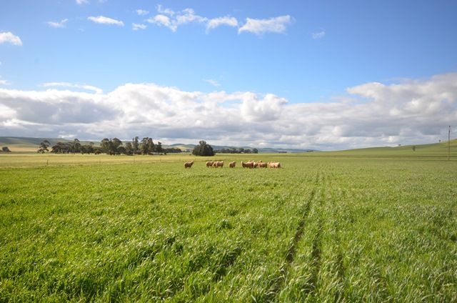 Lot 644 Penshurst Road, Booborowie, SA 5417
