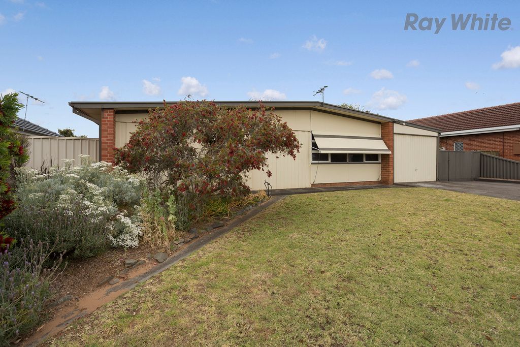 29 Beare Avenue, Netley, SA 5037