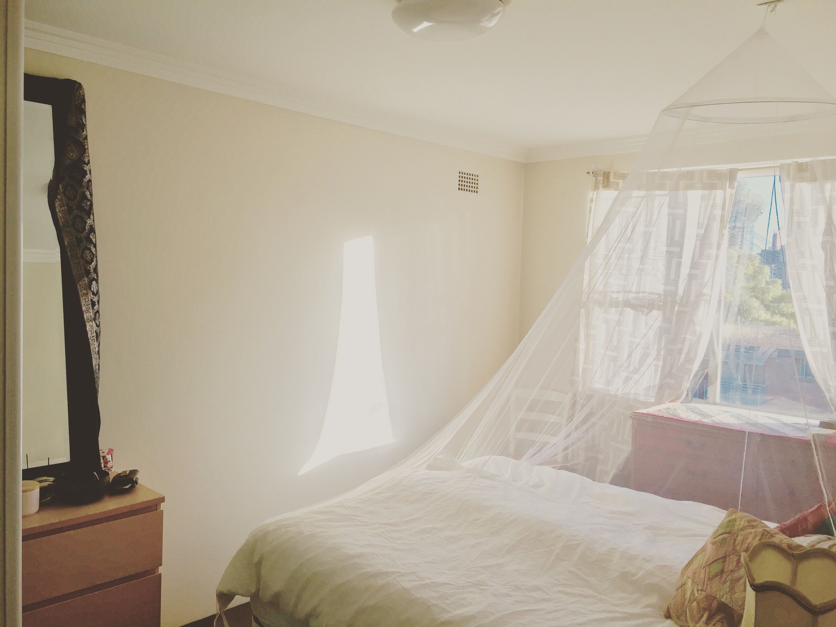 9/19 Sheehy Street, Glebe, NSW 2037
