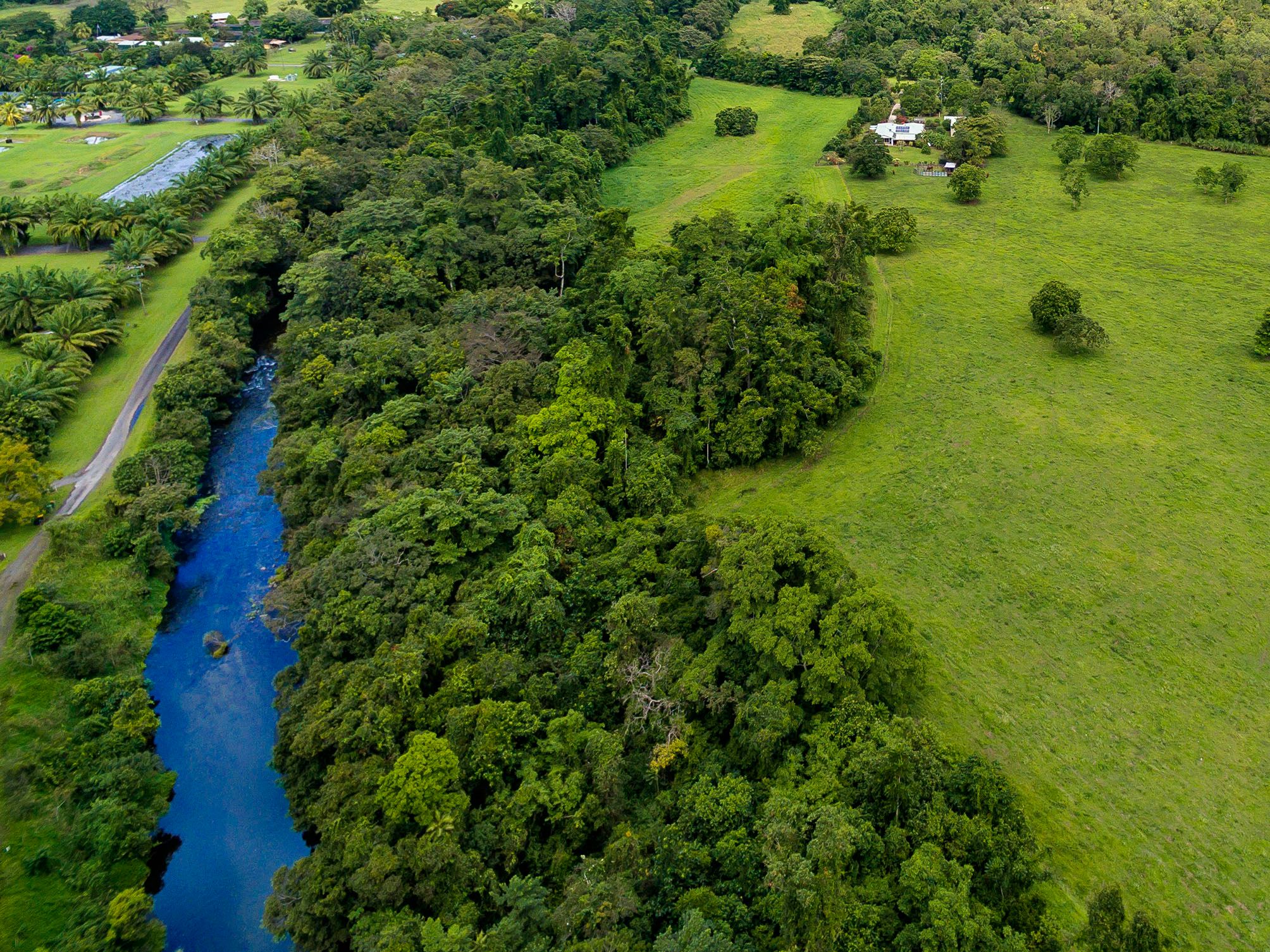 Little Mulgrave, QLD 4865