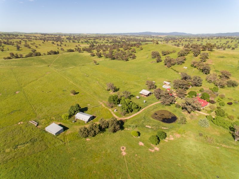 Cudal, NSW Rural Rural Mixed Farming Property Sold