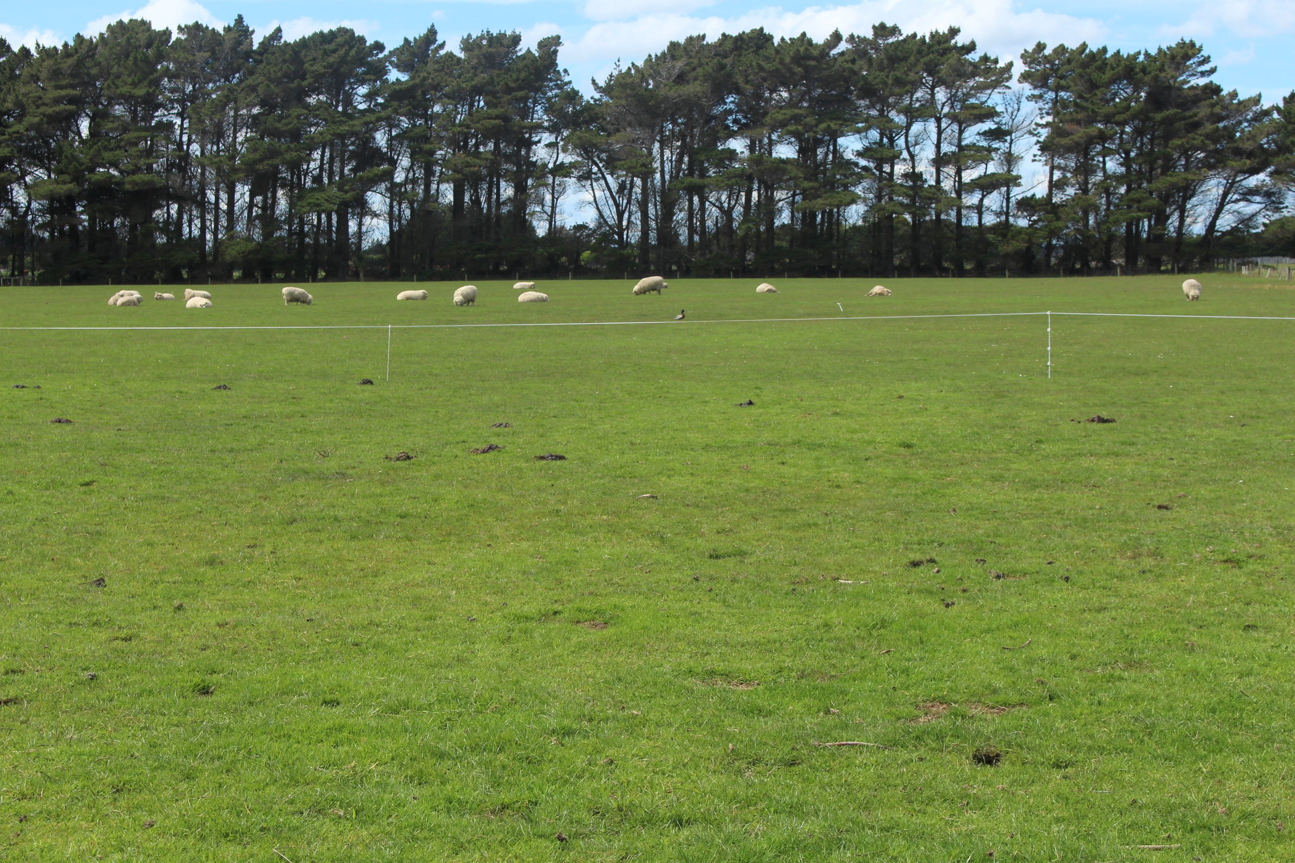 117 Aicken Road, Otatara, Invercargill