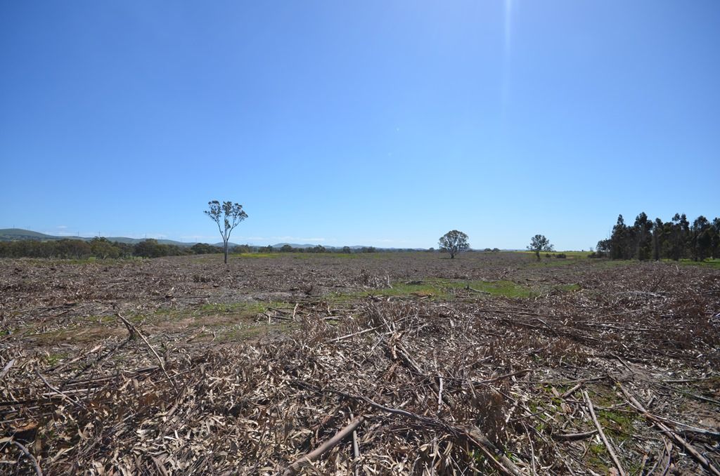 Allender North Buangor Ben-Navis Road, Mount Cole Creek, VIC 3377