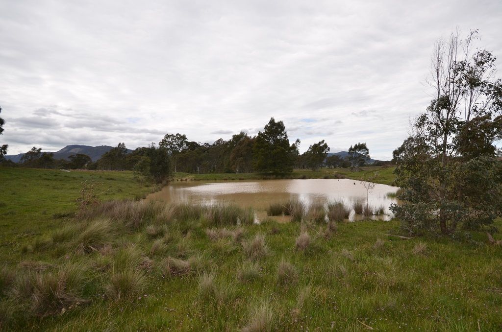 Warrak Road, Warrak, VIC 3377