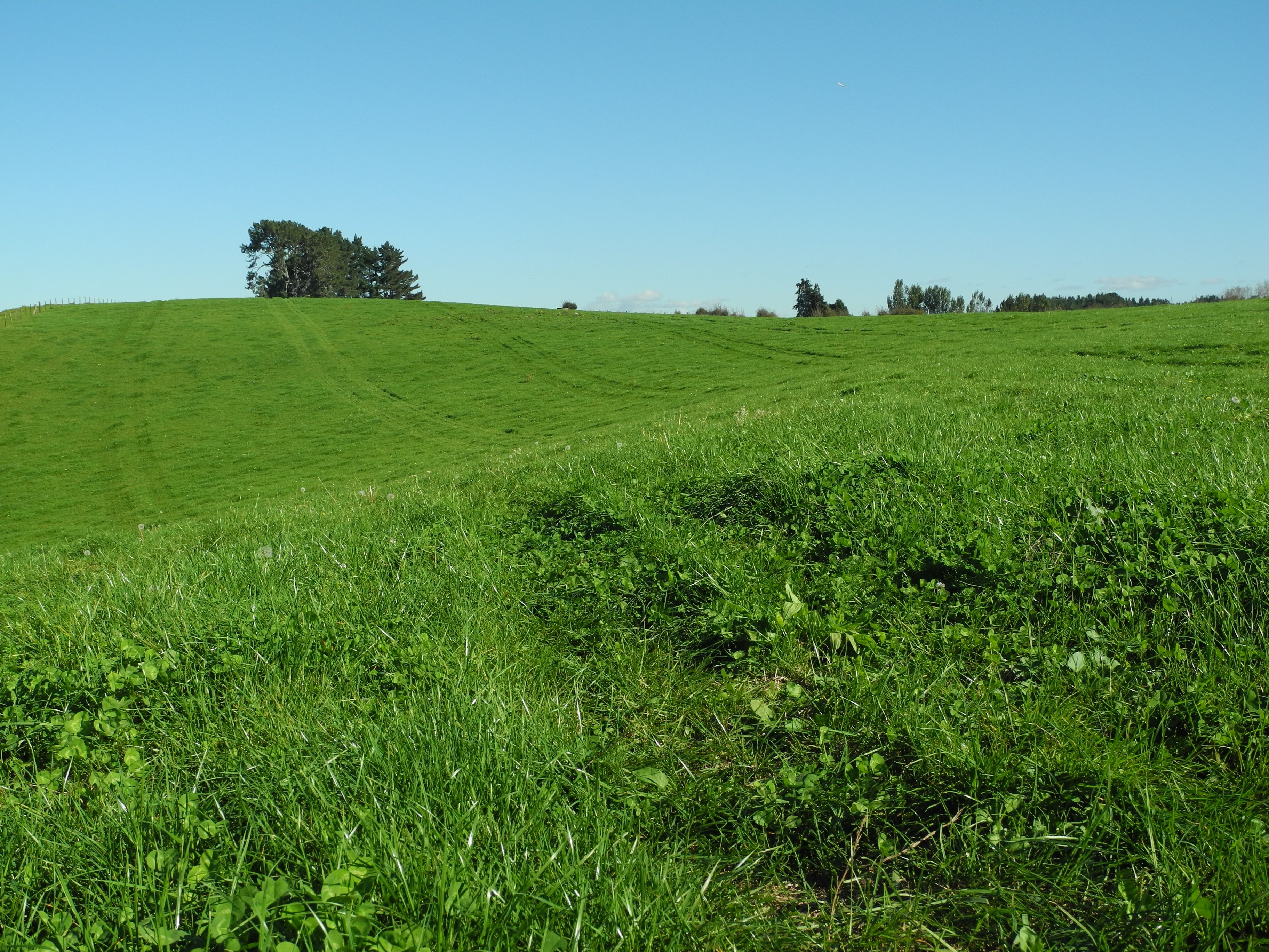 107 Kiwi Road, Pirongia, Waipa District