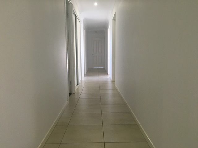137 Springfield Drive, Norman Gardens, QLD 4701