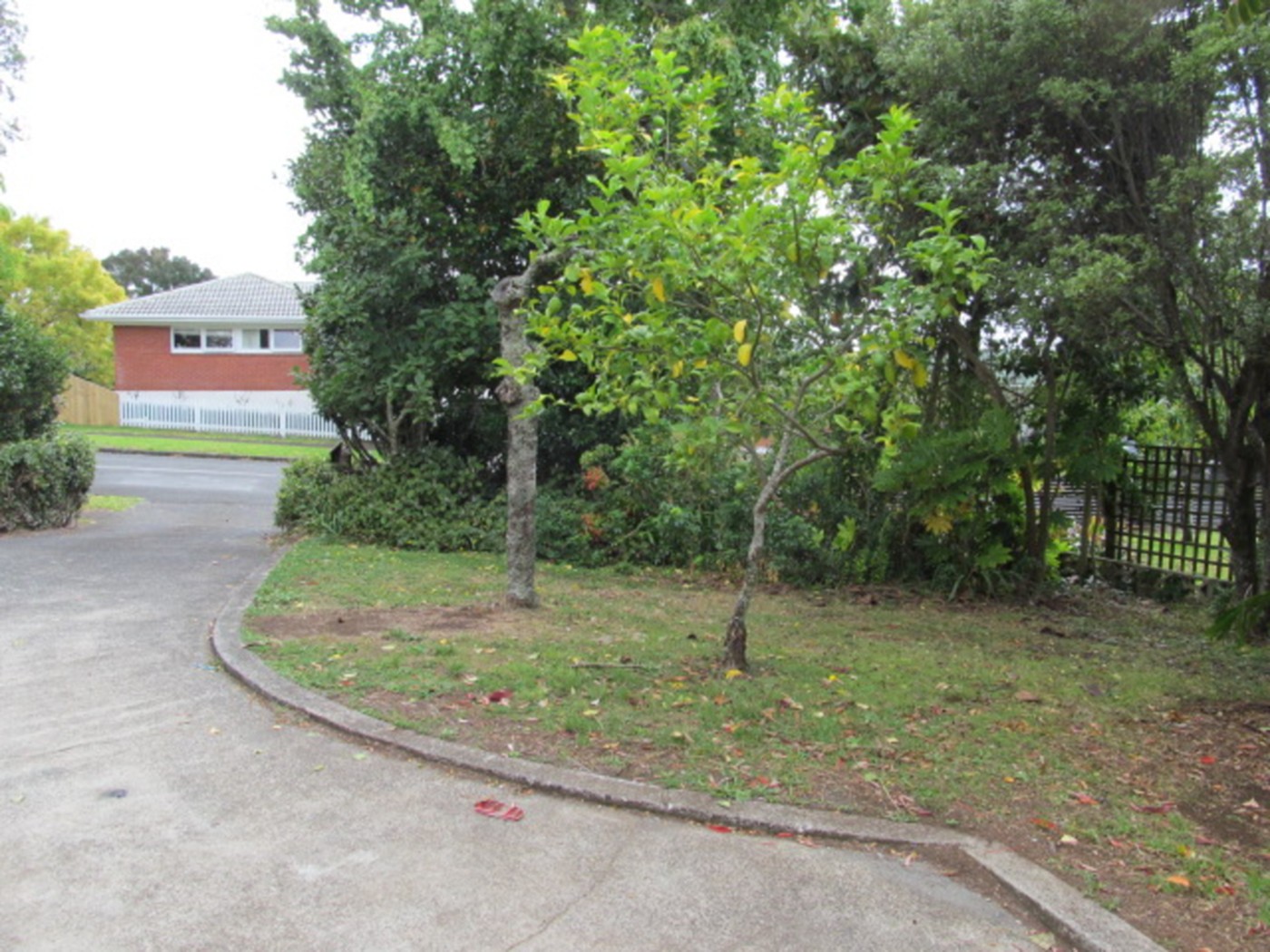 2 Laurelwood Avenue, Pukekohe, Franklin
