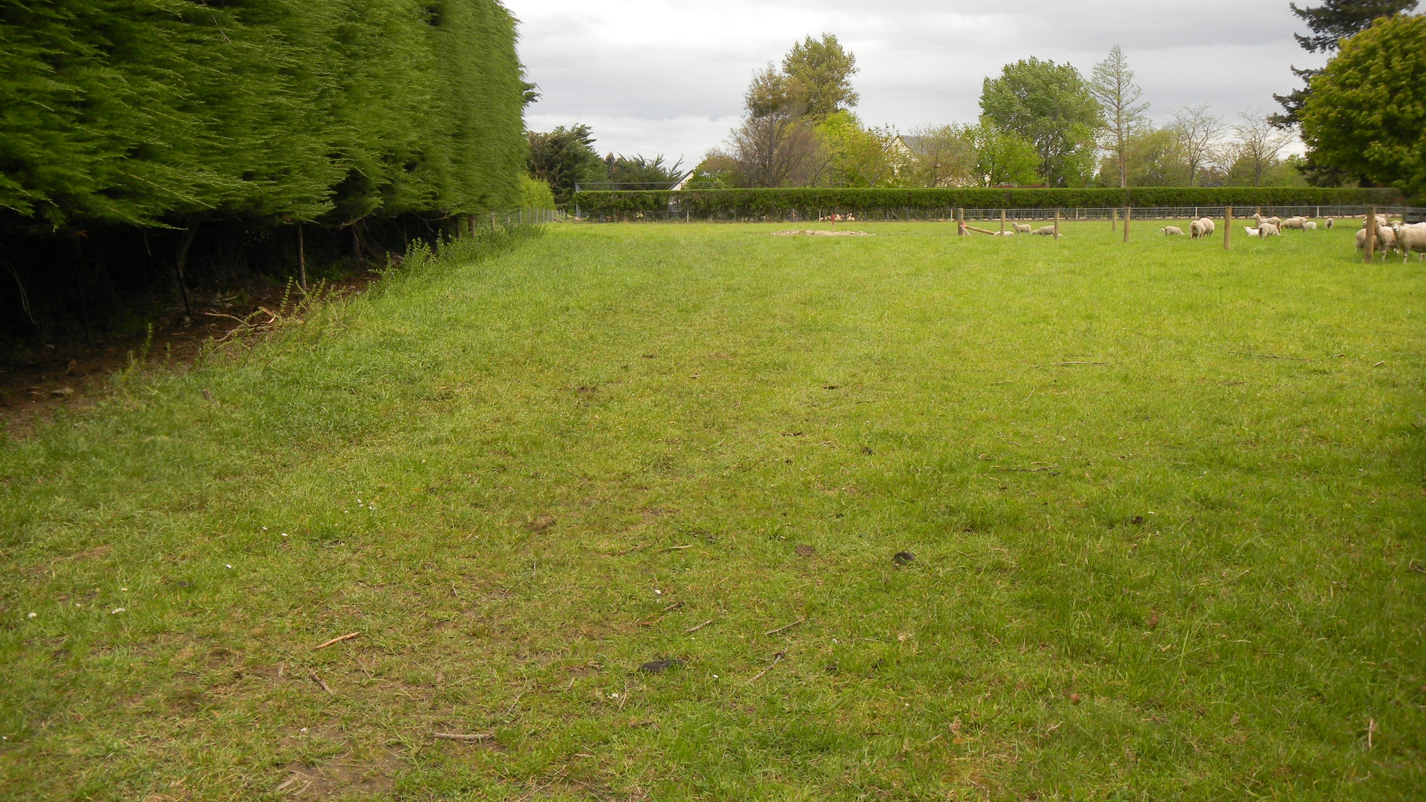Lot 3 16 Dolma Street, Methven, Ashburton District