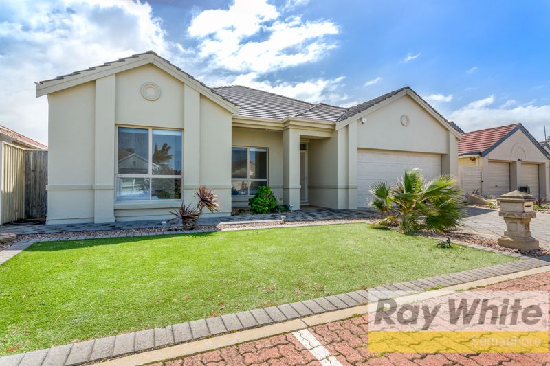 47 Anaconda Drive, North Haven, SA 5018