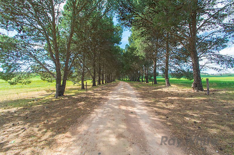 426 Muanu Road, Clare, SA 5453