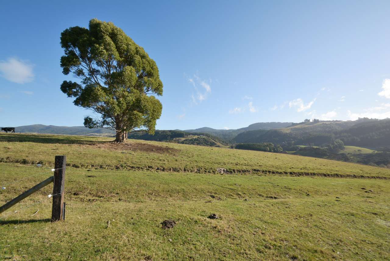 675 Waitati Valley Road, Upper Waitati, Dunedin City Real Estate