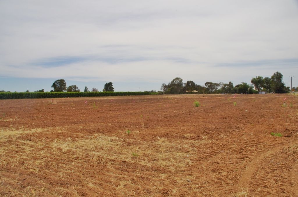 Sec 28 Ontario Street, Renmark, SA 5341