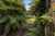 17a Ranginui Street photo 4