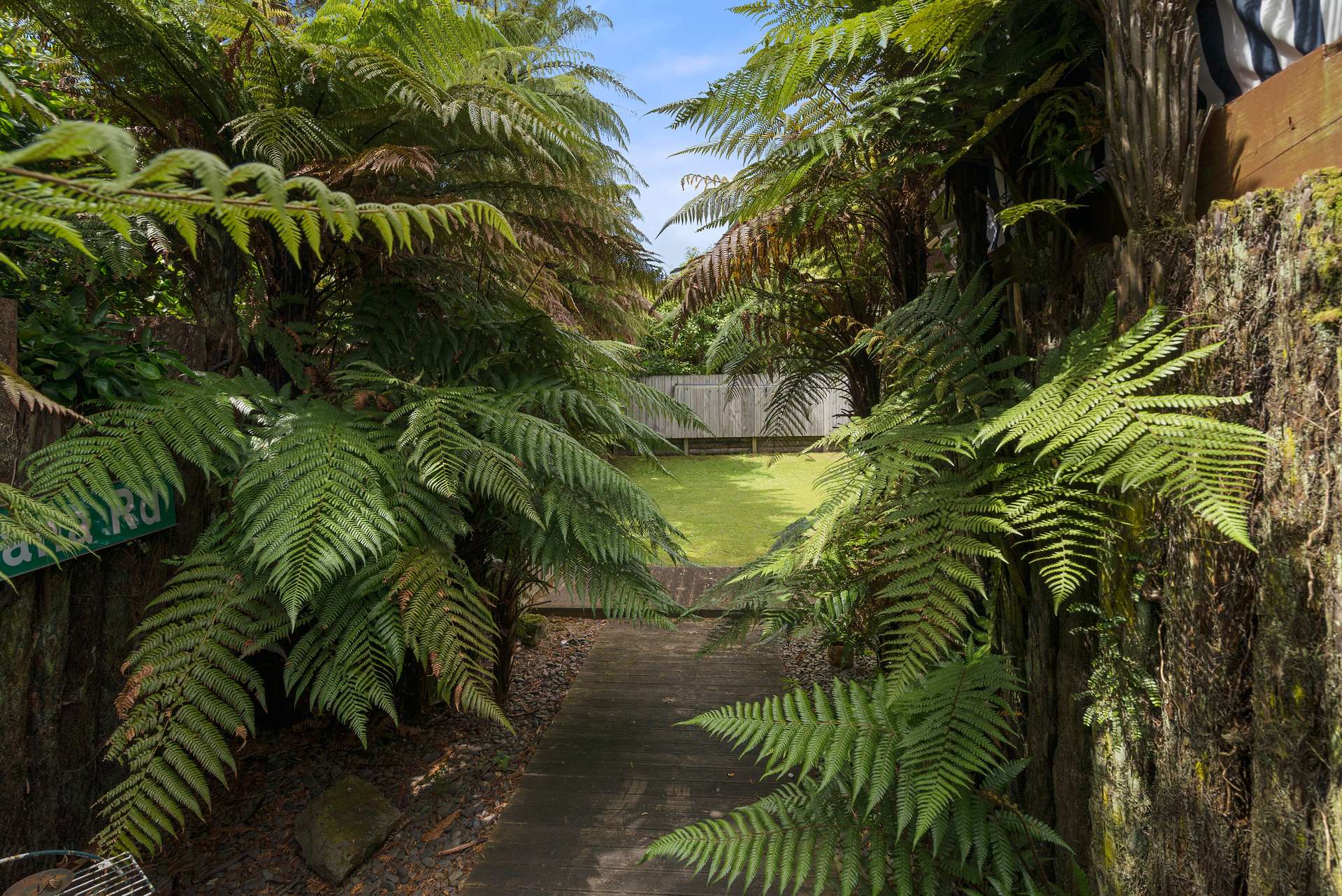 17a Ranginui Street photo 4