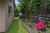 17a Ranginui Street photo 5