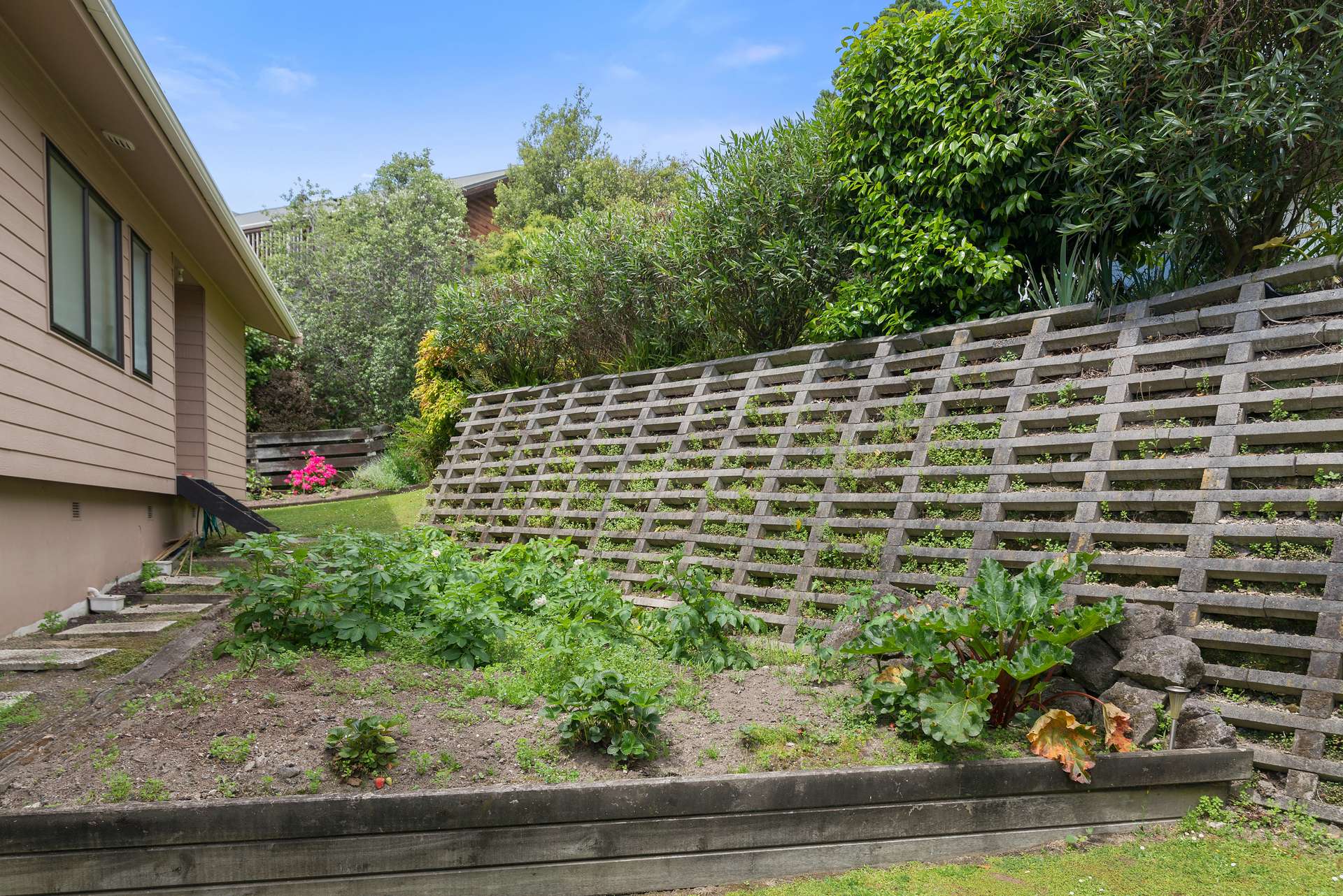 17a Ranginui Street photo 7
