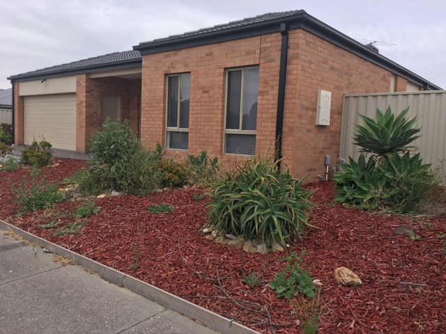 56 Mulberry Pass, Craigieburn, VIC 3064