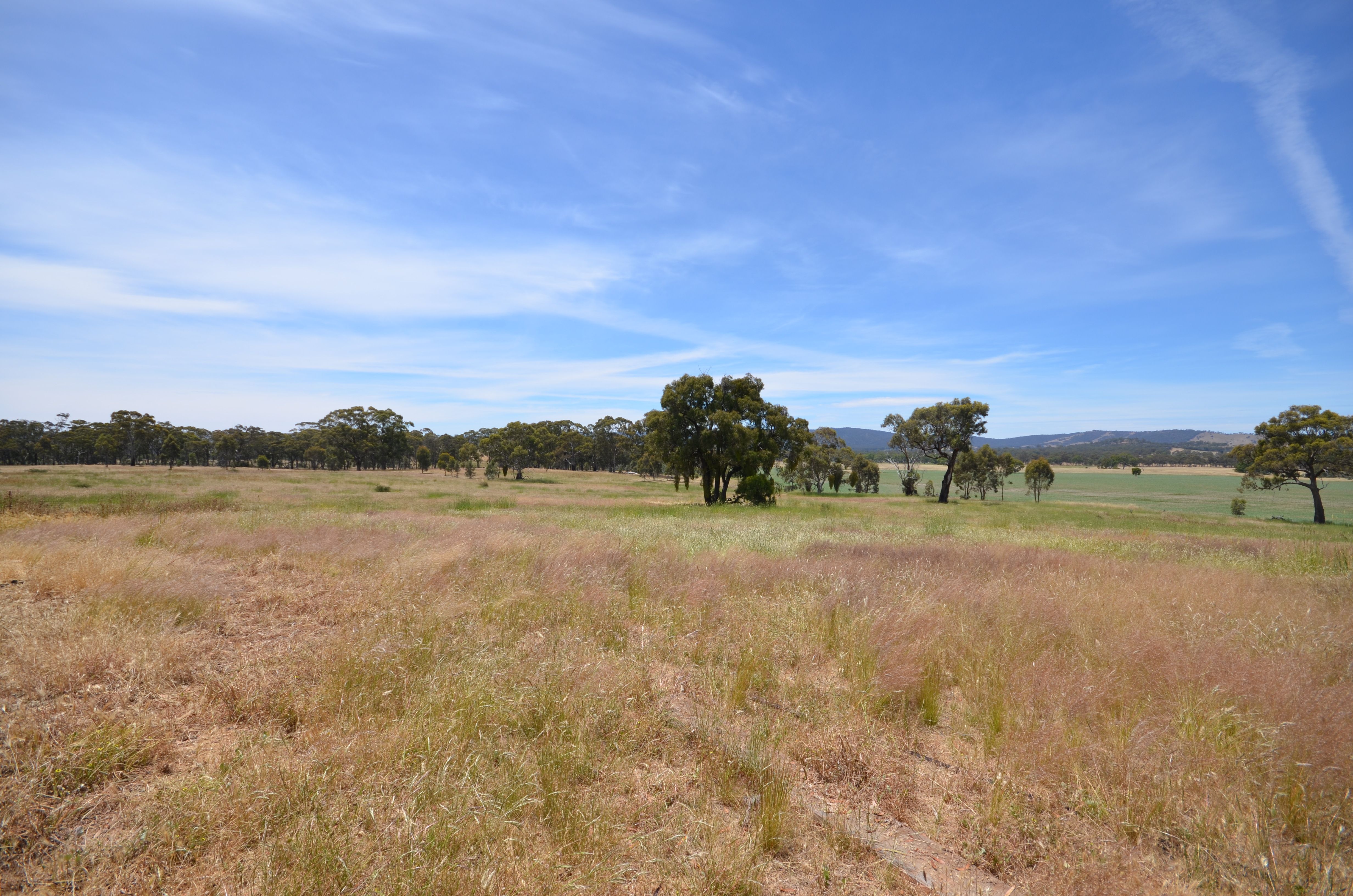 4415 Stawell-Avoca Road, Landsborough, VIC 3384