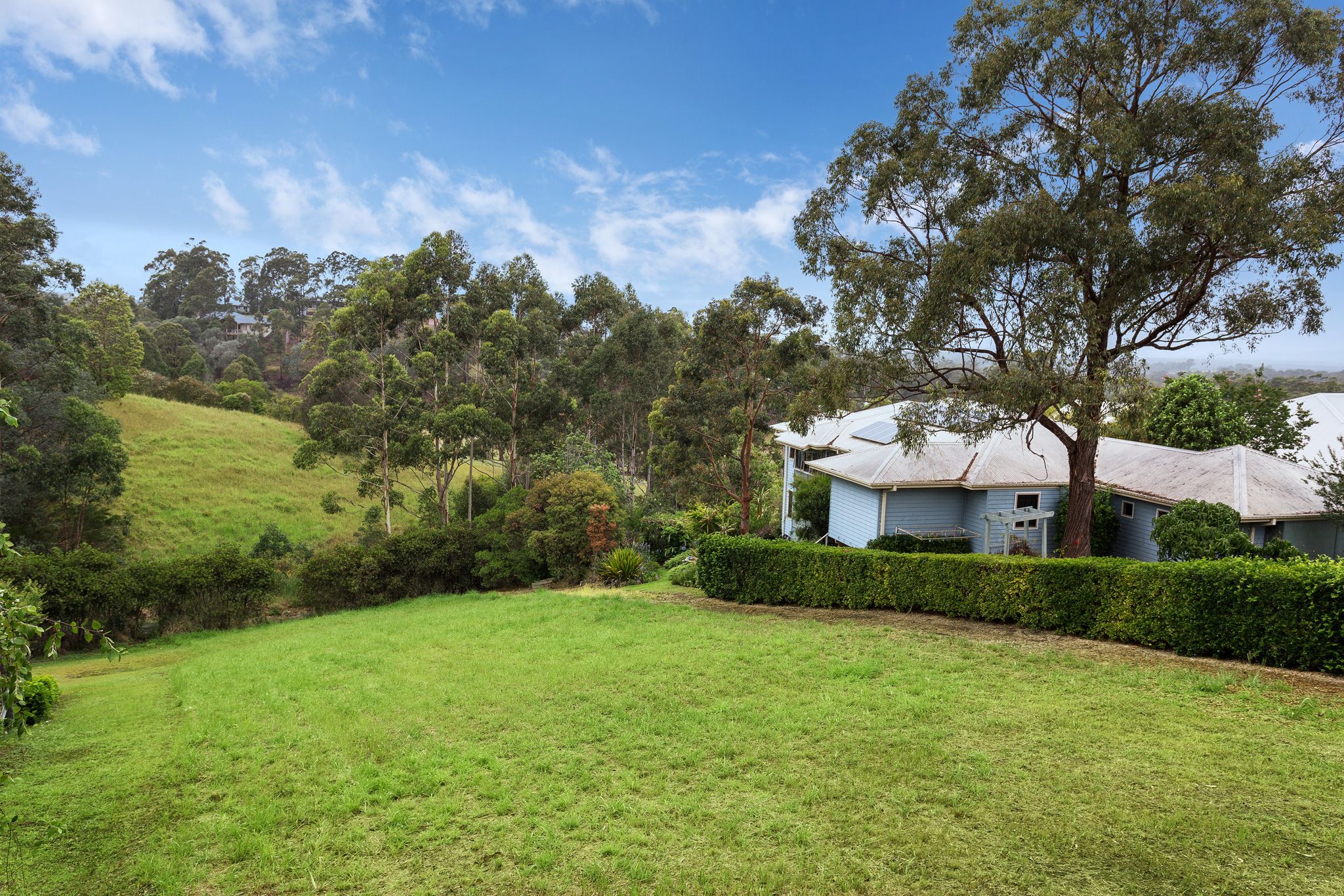 16 The Saddle, Tallwoods Village, NSW 2430