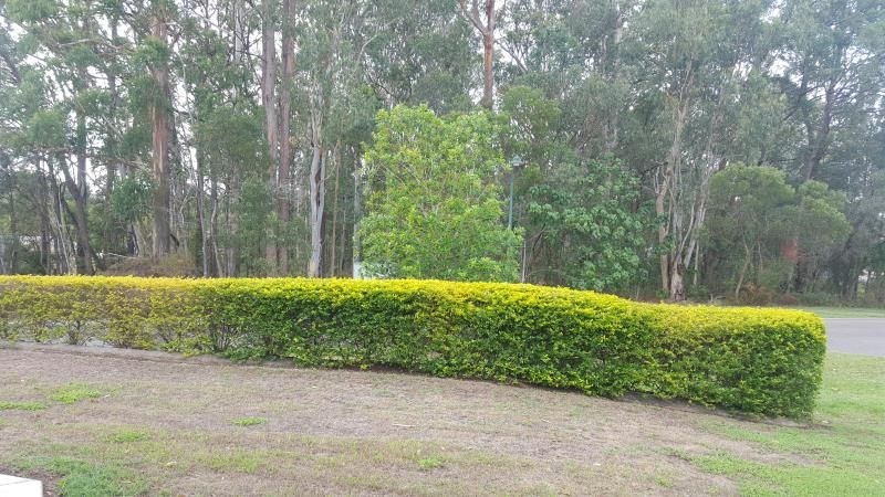 2 Gordon Place, Glass House Mountains, QLD 4518