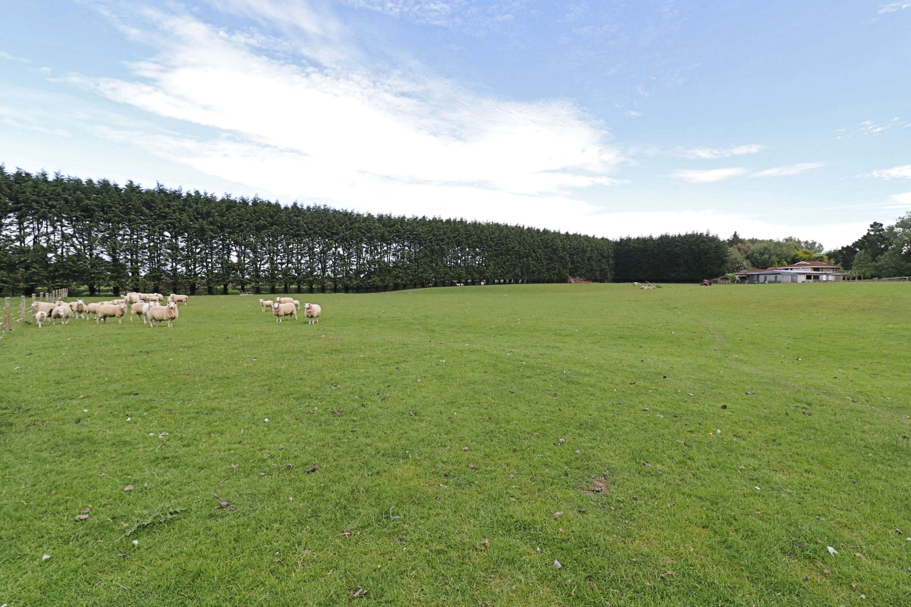 65 Millton Park Road, Mill Road, Invercargill