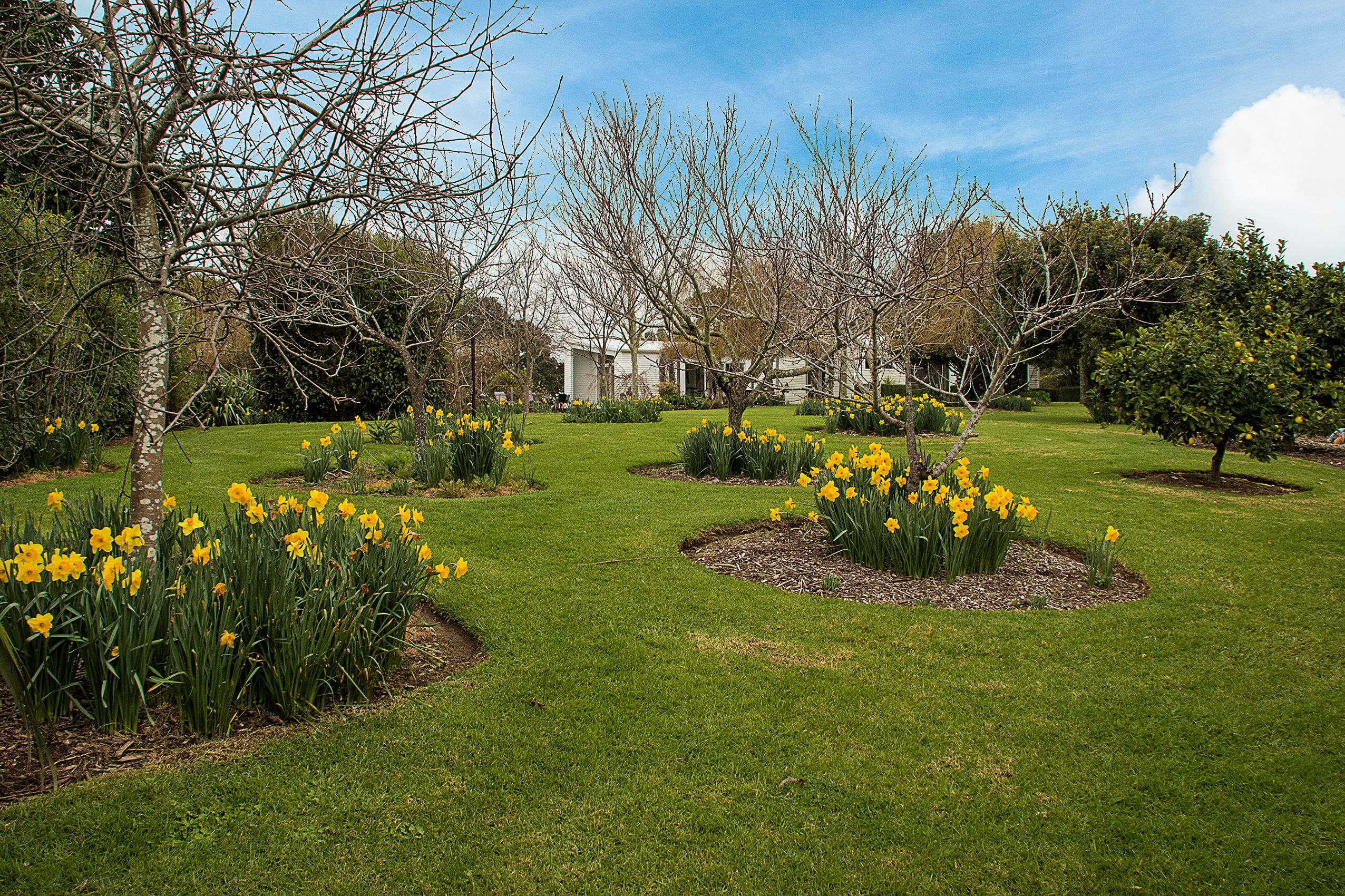 438 Matakawau Road, Waiuku, Franklin