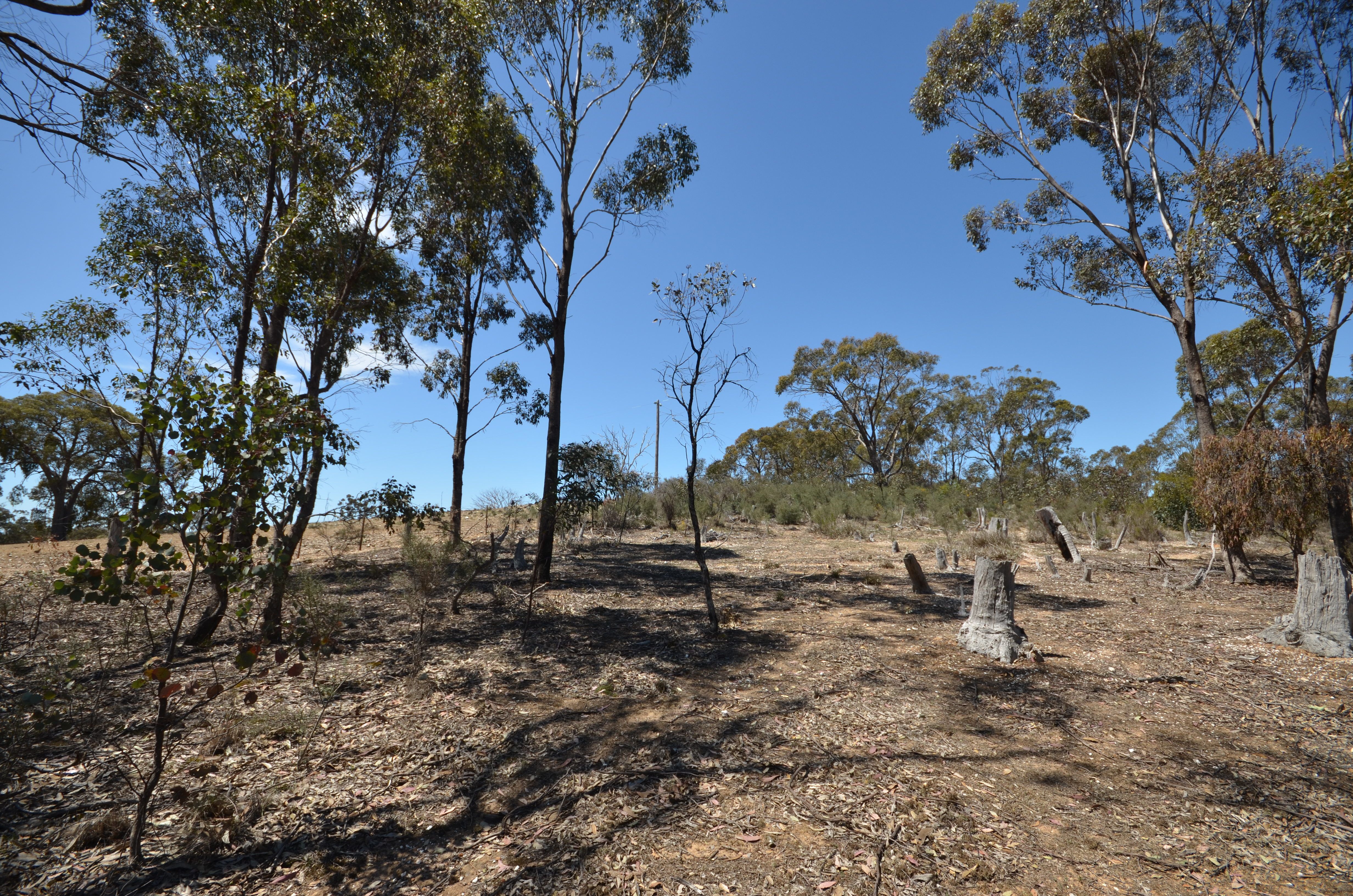Lot 3 Lillicur West Road, Lamplough, VIC 3352