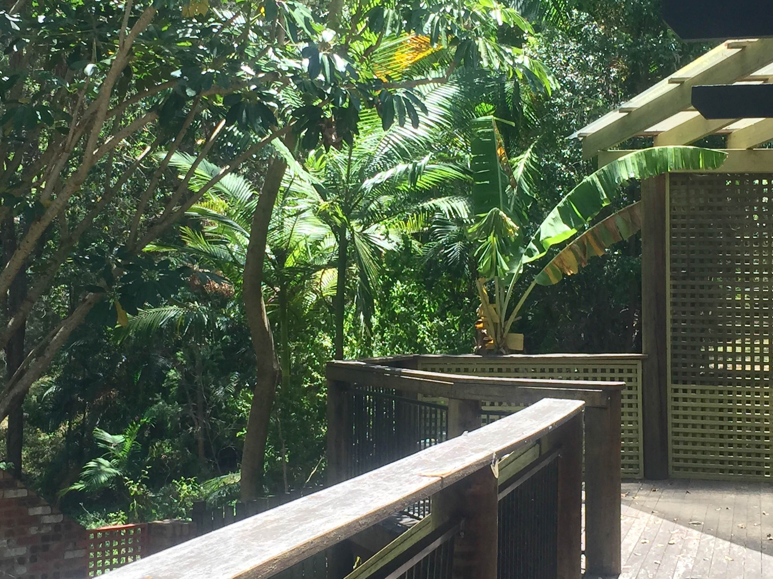 26 Rim Road, Buderim, QLD 4556