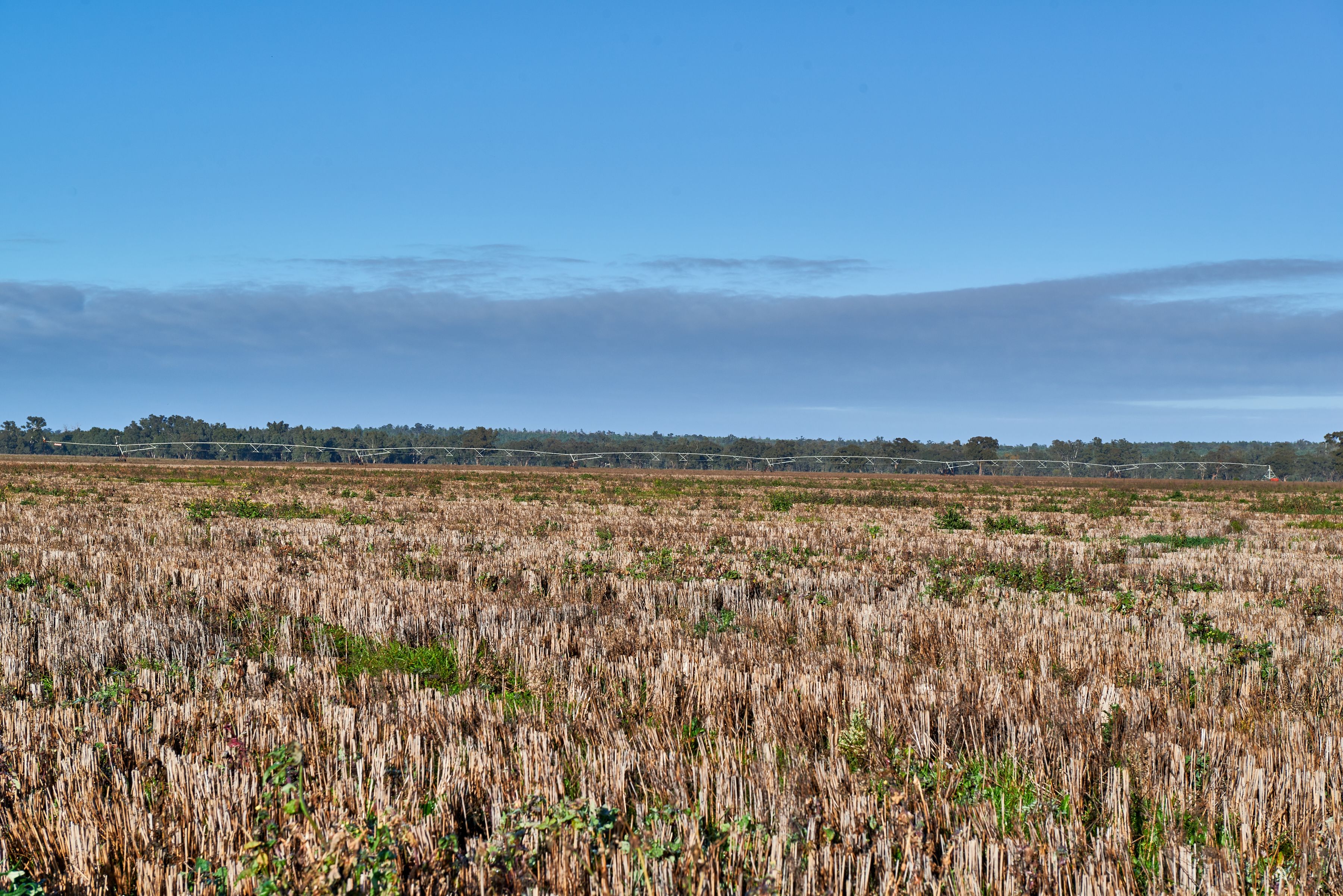 8813 Sturt Highway, Narrandera, NSW 2700