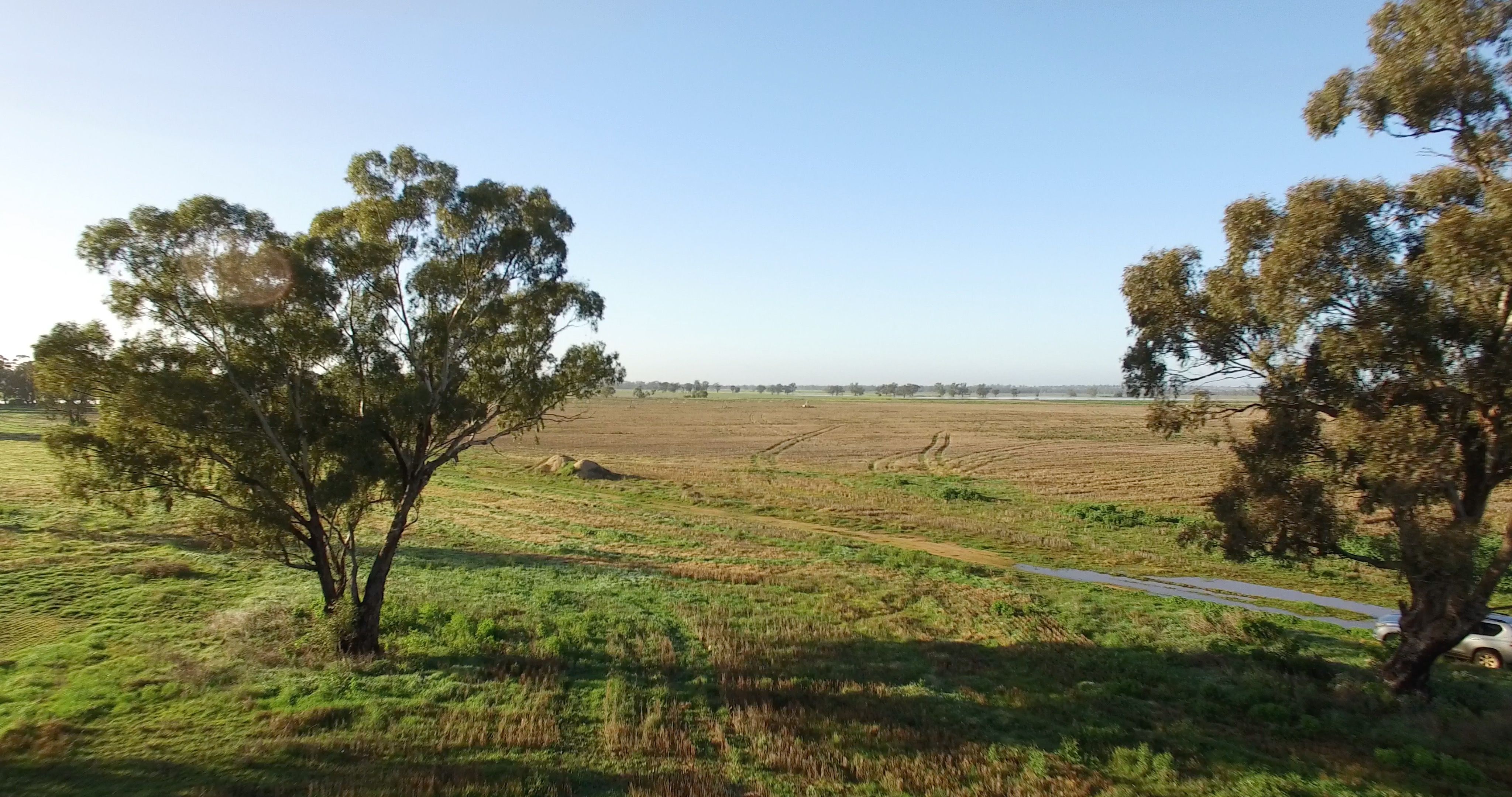 60 Gillinbah Creek, Narrandera, NSW 2700
