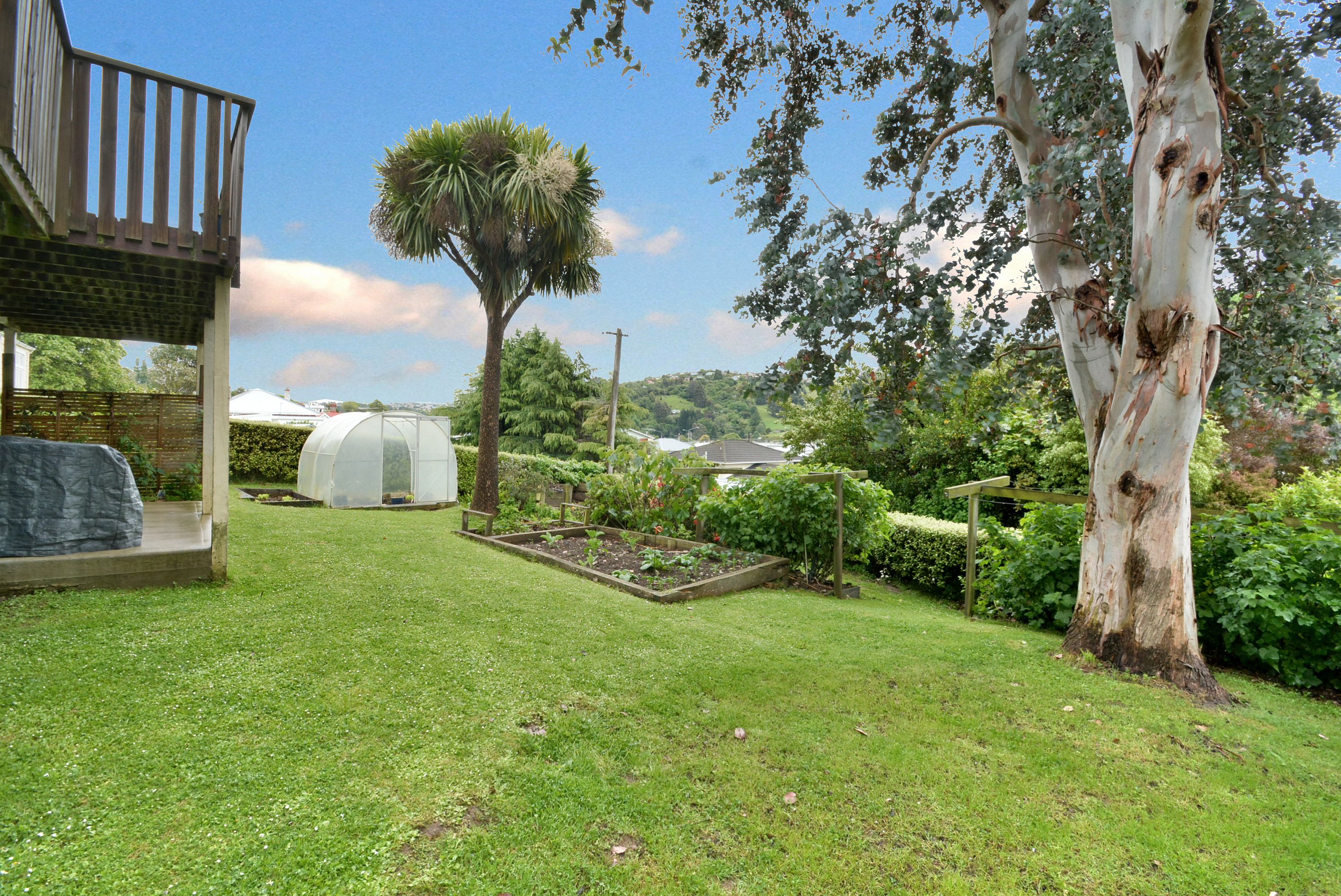 16 Arnold Street, North East Valley, Dunedin City