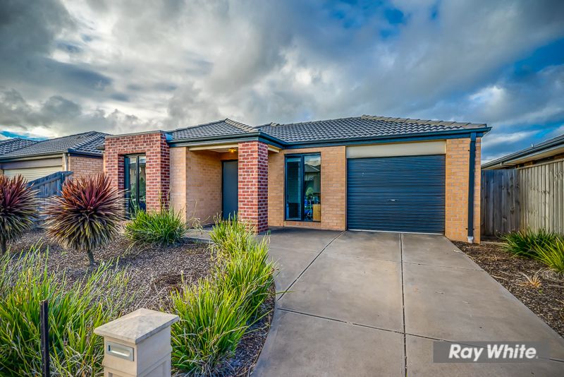 8 Springleaf Road, Tarneit, VIC 3029