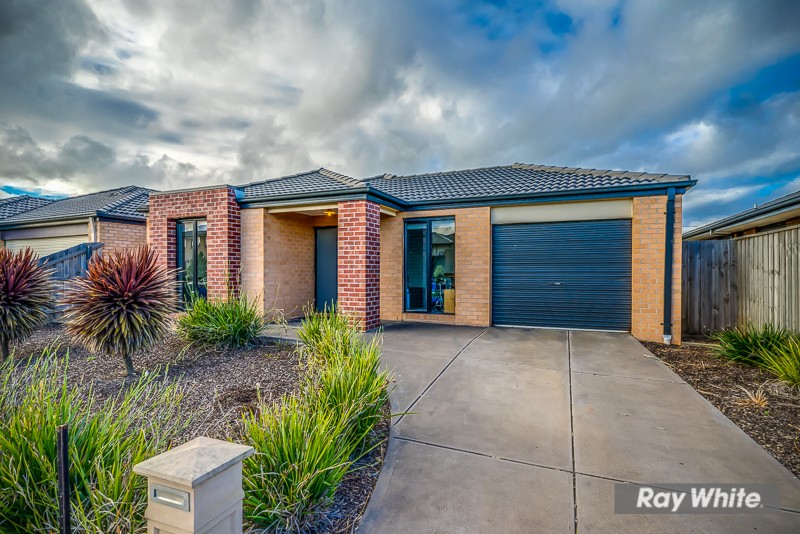 8 Springleaf Road, Tarneit, VIC 3029