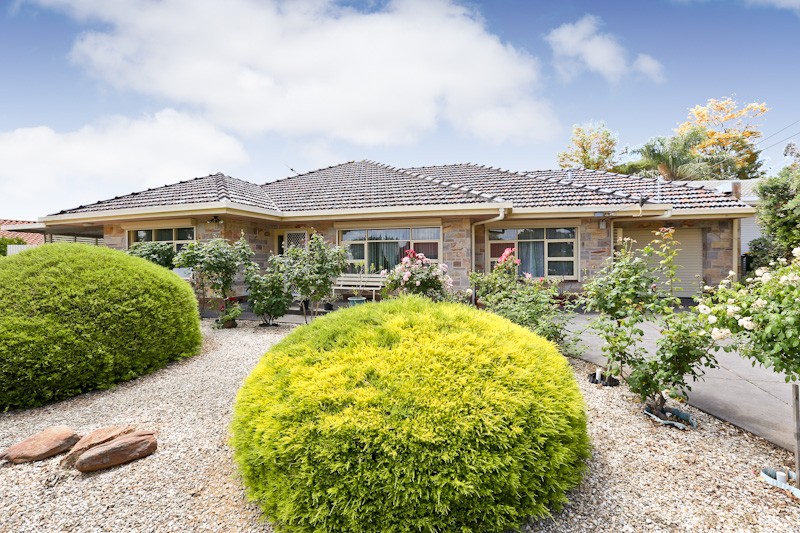 14 Alexander Avenue, Modbury North, SA 5092