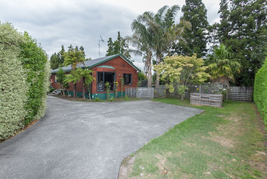 17 Rimmington Drive, Hamilton Lake, Hamilton City