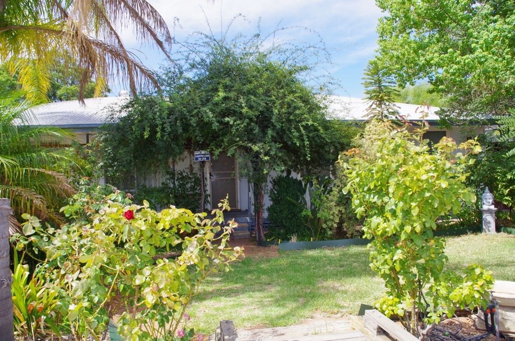 6 Red Gum Street, Renmark, SA 5341