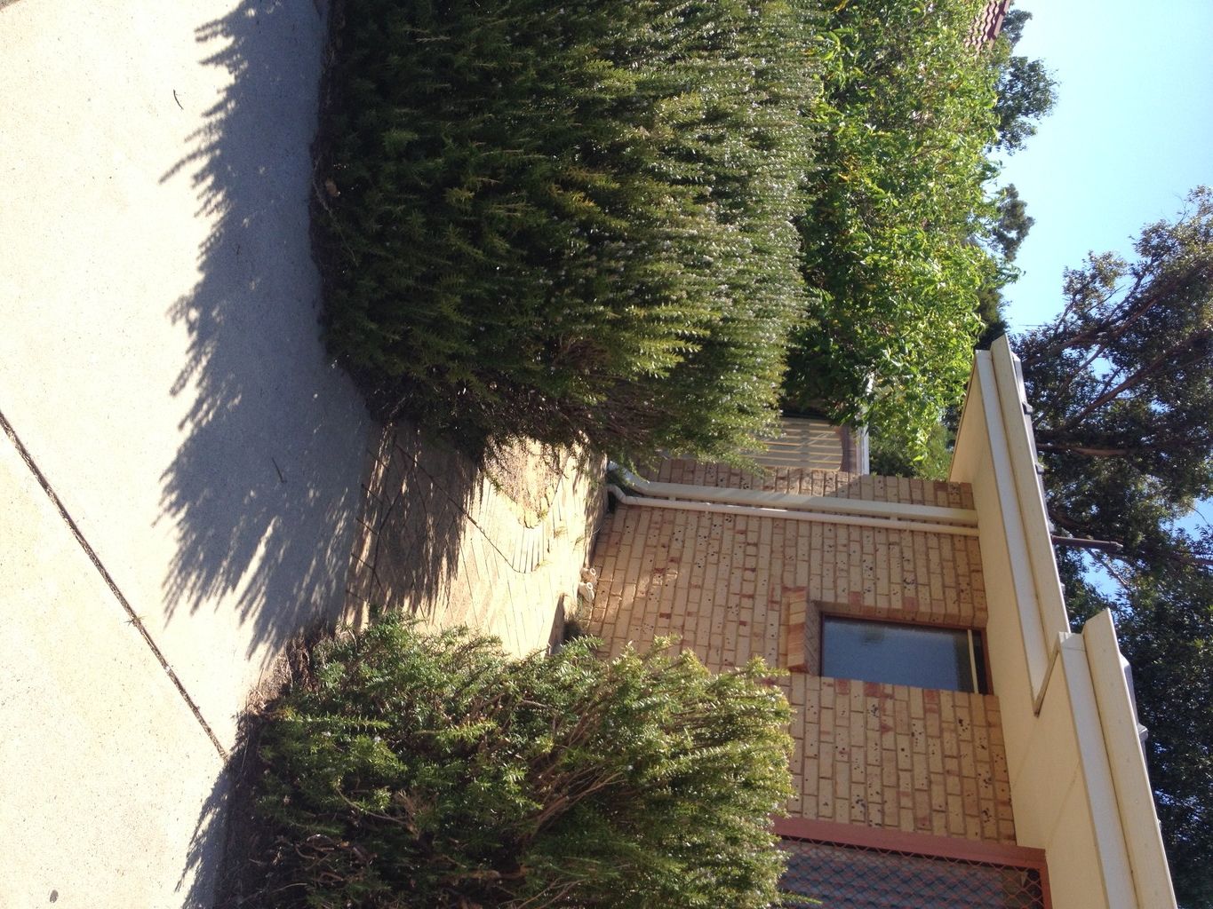 12G Green Court, Kardinya, WA 6163