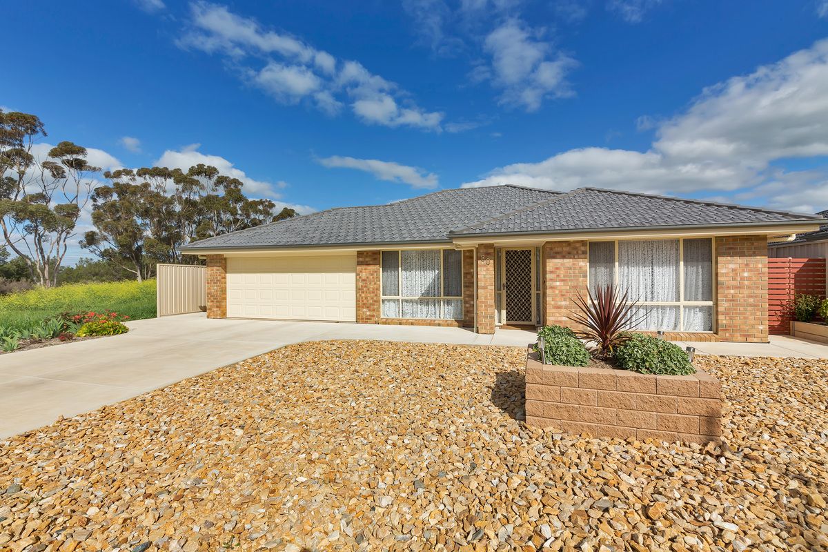 80 Borrow Street, Freeling SA 5372