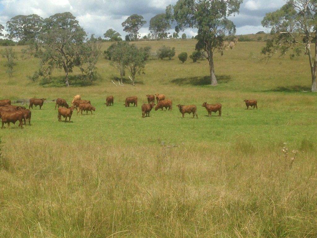 Lot 1 and 2 New England Highway, Crows Nest QLD 4355