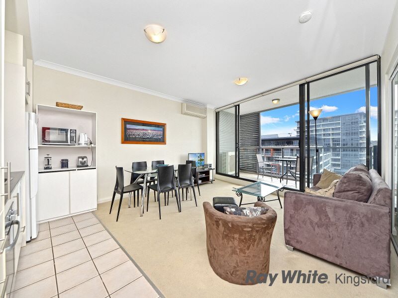 11a Lachlan Street, Waterloo NSW 2017
