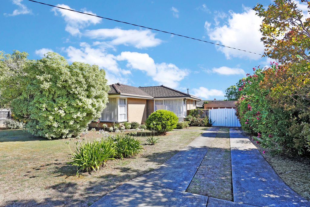 6 Walpole Avenue, Belmont, VIC 3216