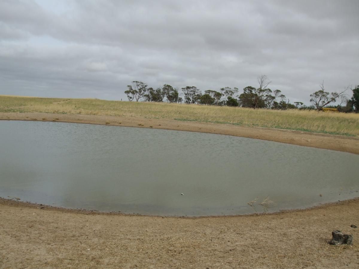 Lot 14 Oaks Road, Parilla, SA 5303