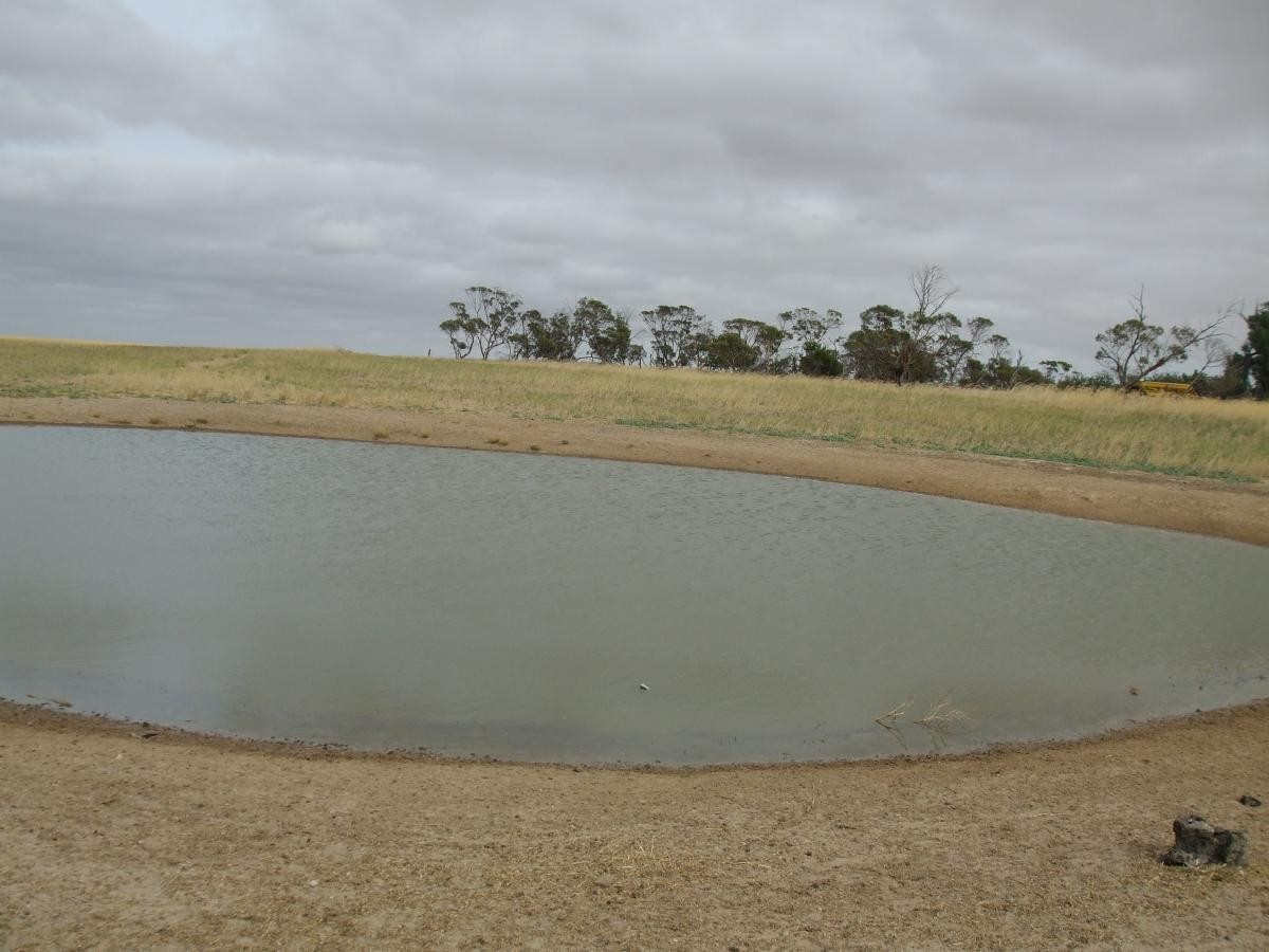 Lot 14 Oaks Road, Parilla, SA 5303