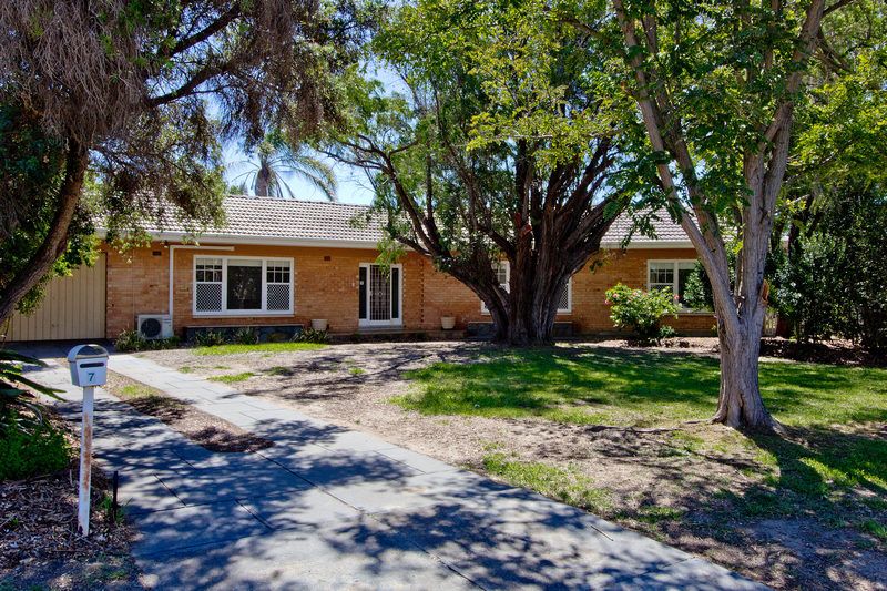 7 Sharpie Crescent, Grange, SA 5022