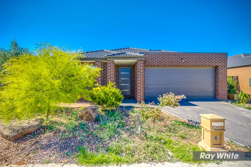 36 Melville Street, Tarneit, VIC 3029